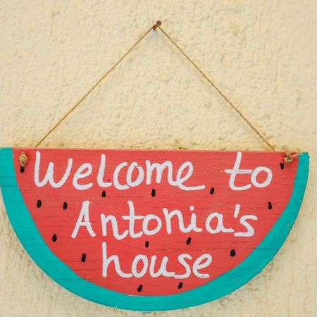 Appartement Antonia House à Skiathos Chora Extérieur photo
